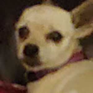 Meet your Posher, Natalie